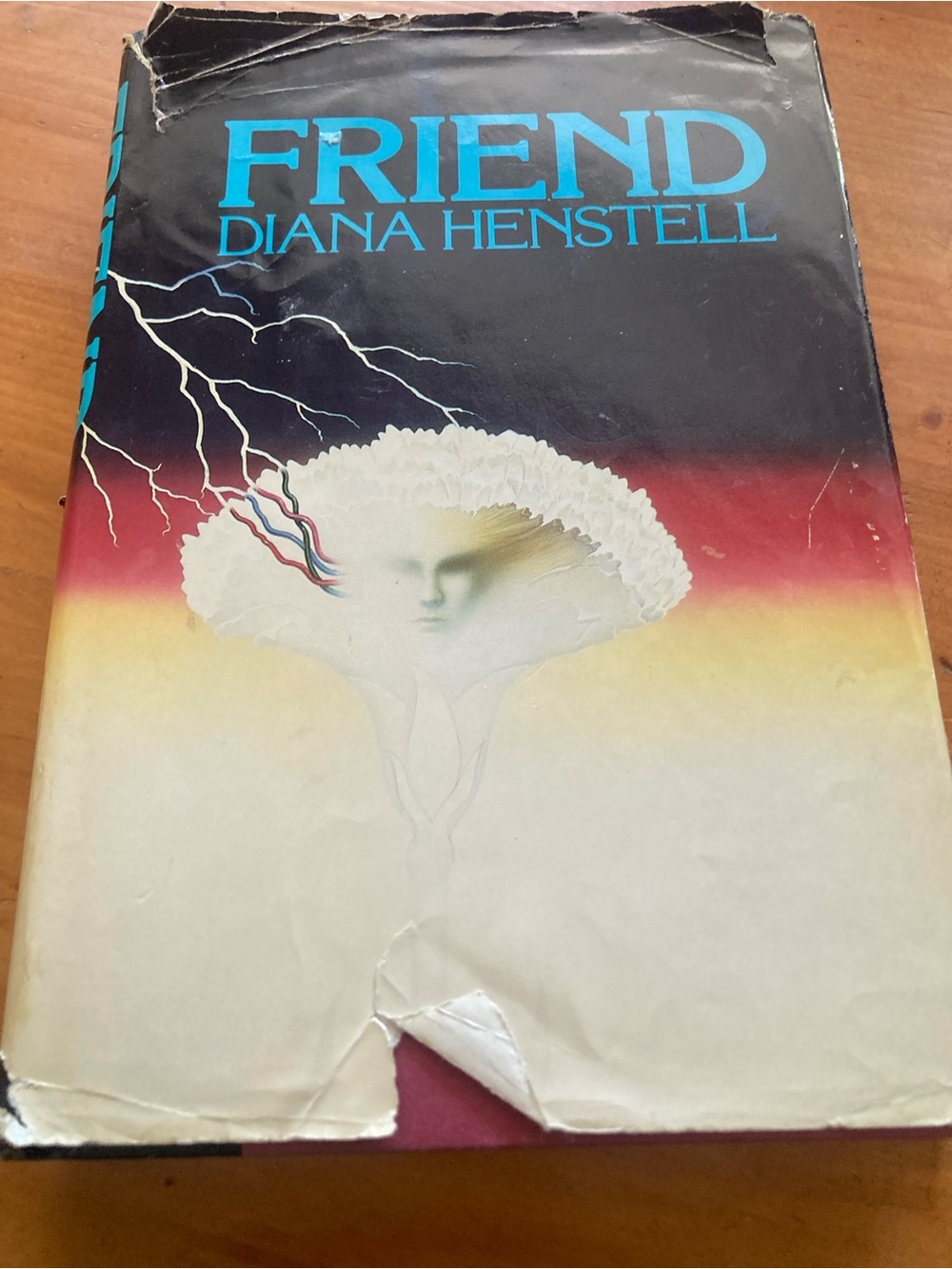 Friend by Diana Henstell — Illustrated Hardcover Book in Black and Cream Cover